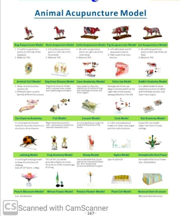 Animal Acupuncture Models